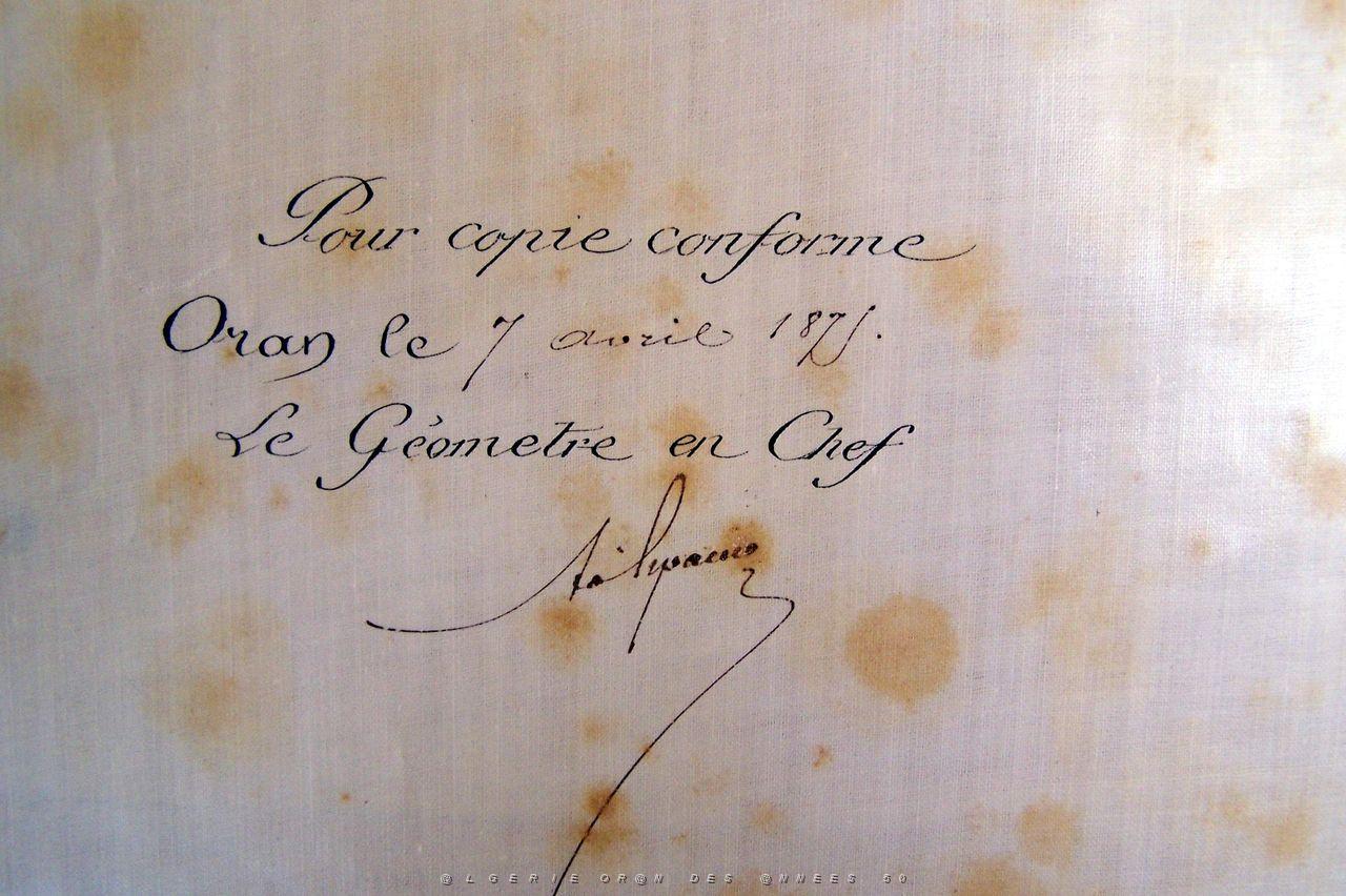 Creation Ain el- Turck 17.jpg